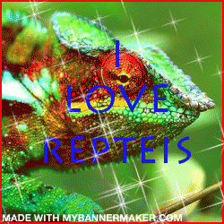 I Love Répteis