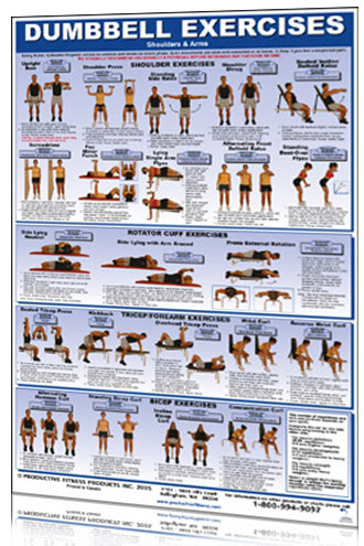 Exercises: Dumbbell Exercises