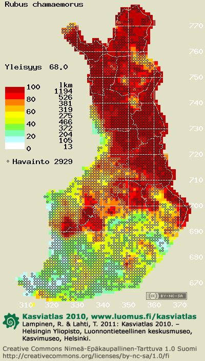 hilla kartta Muurain, Hilla, Lakka, levinneisyys ja yleisyys   Kasviatlas 2010 hilla kartta