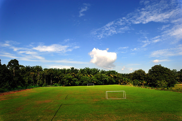 Soccer Field