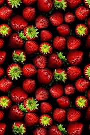 56+ Whats App Wallpapers HD Download