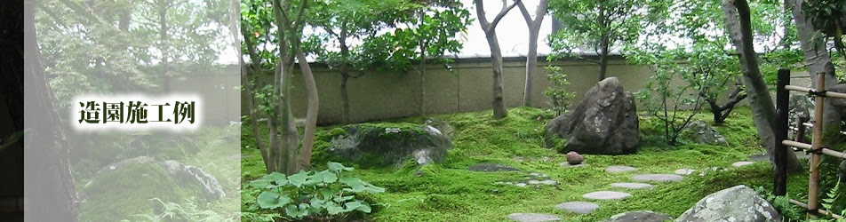 熊本 玉名 荒尾 山鹿周辺の庭木 植木の消毒と剪定 蜂の巣駆除 害虫駆除 大木伐採 荒地管理なら中眞緑美園 害虫駆除について