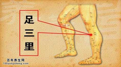 20141122健康之路视频和笔记 刘焰刚讲足三里的位置 三阴交的作用 健康