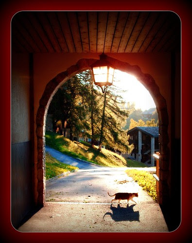 Passage  ... by rosemariecécile