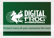 Digital Frog Intl Logo