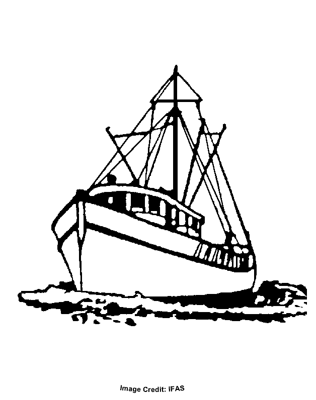 Download Shrimp boats clipart - Clipground