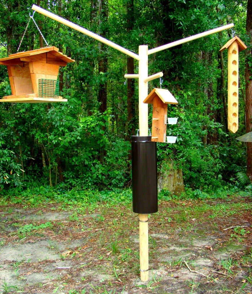 Squirrel Proof Hanging Bird Feeder | Birdcage Design Ideas