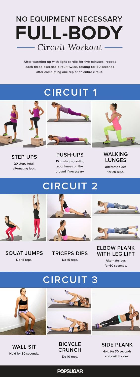 Beginner Circuit Workout At Home