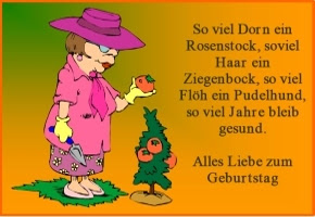 geburtstagsspruch das kleine zig
