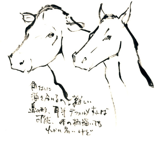 牛の描き方