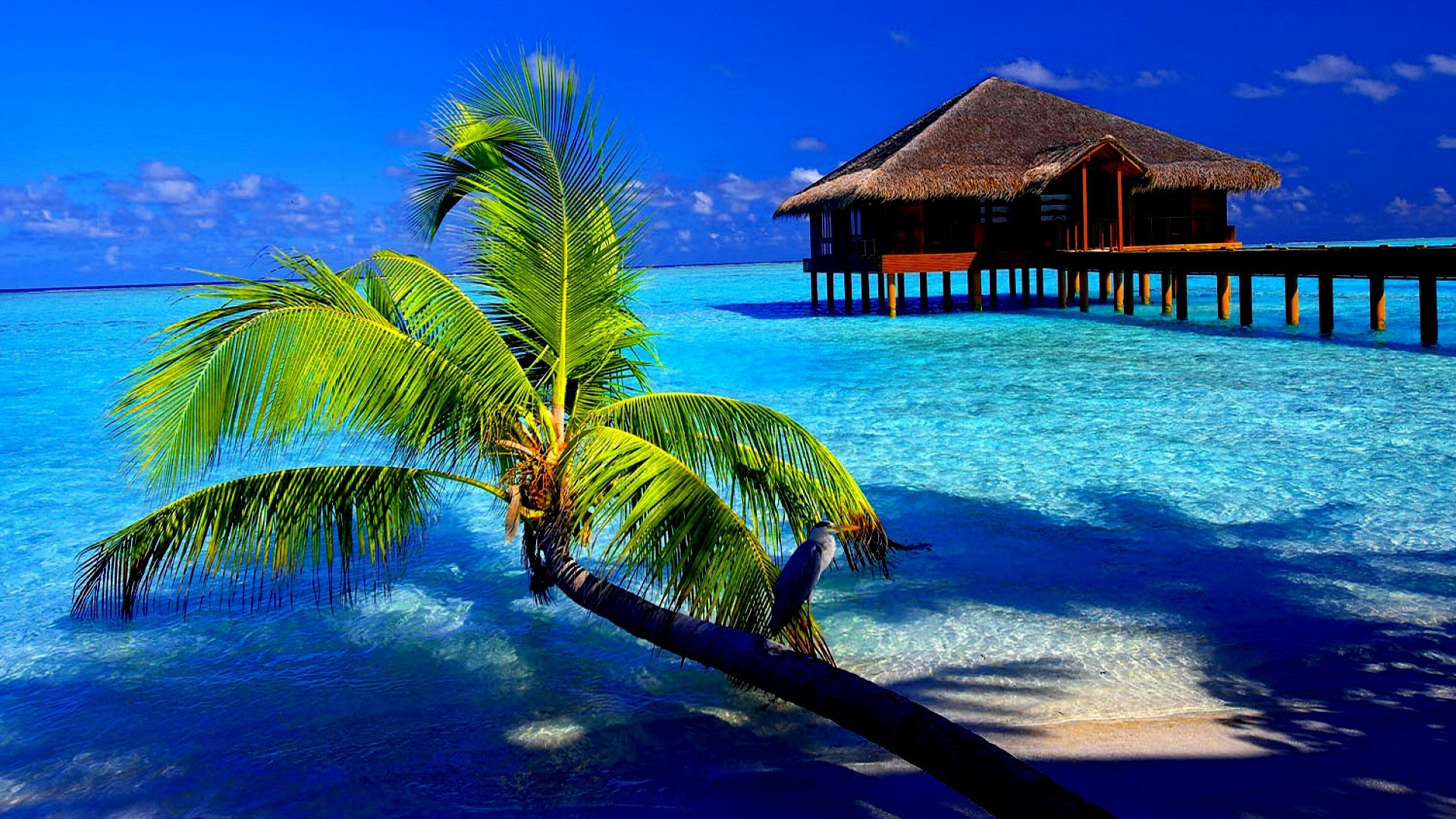 Island Wallpaper for Computer 42 images Island Wallpaper for Computer 42 images
