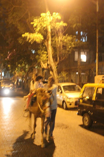 Nerjis And Marziya Horse  Ride Almeida Park Bandra by firoze shakir photographerno1