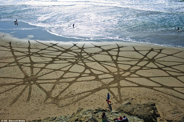 Andres Amador Sea Sand Art