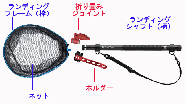 初心者のランディングネット選び コスパが良くてオススメを紹介 の巻