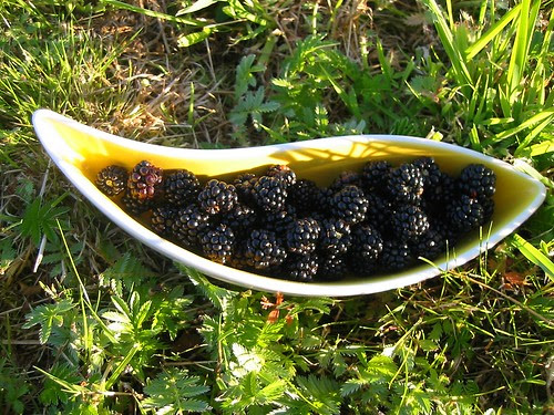 blackberries