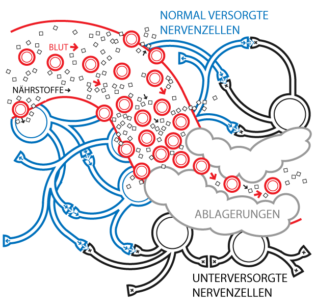 Dr Med Jutta Karl Facharztin Fur Allgemeinmedizin Folgeerkrankungen Des Diabetes Mellitus