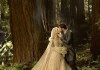wedding photo