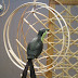 Paradise Birds Katrin - Paradise Birds Katrin Hd Porn Videos Pornmaster Fun - Looking for paradise birds katrin?