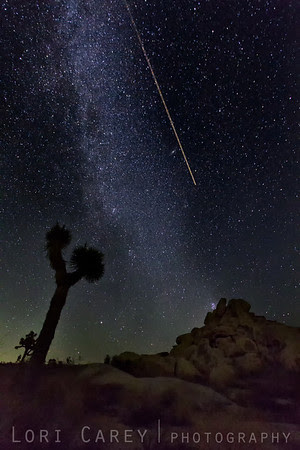 Northern end of Milky Way Galaxy and Perseid meteor, Joshua Tree National Park