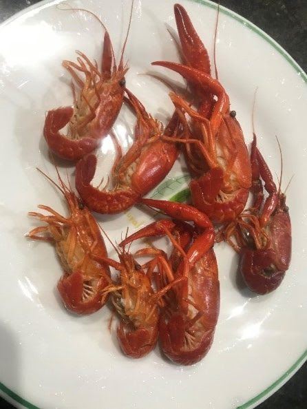 ザリガニは食べられる 川遊びマップ