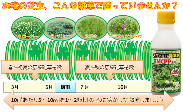 理研ｍｃｐｐ液剤 製品一覧 理研グリーン 緑化薬剤 資材事業部