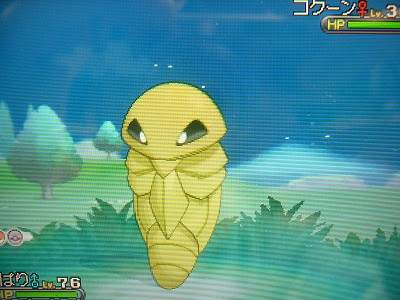 コクーン ｘｙ版 よもぎの色ポケコレクションブログ