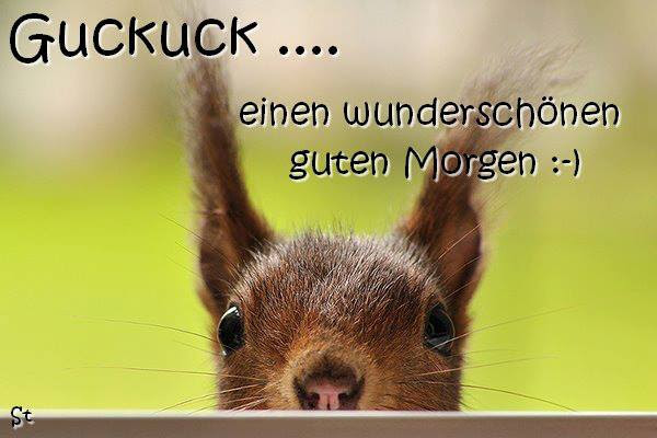 weisheiten zitate nachdenken