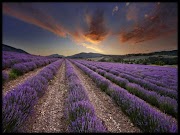 New 33+ Awesome HD Photography