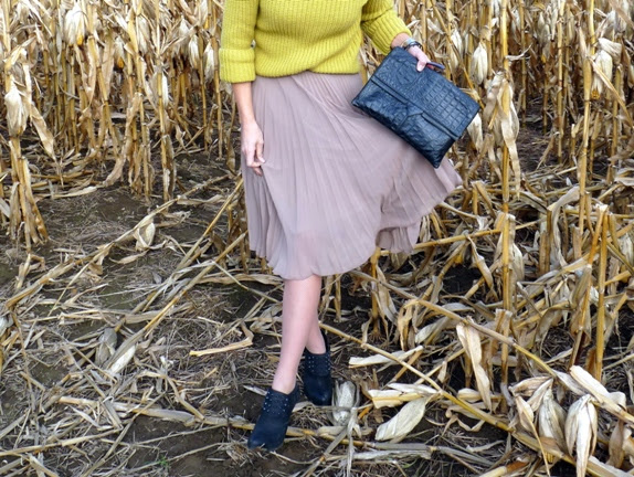 corn5