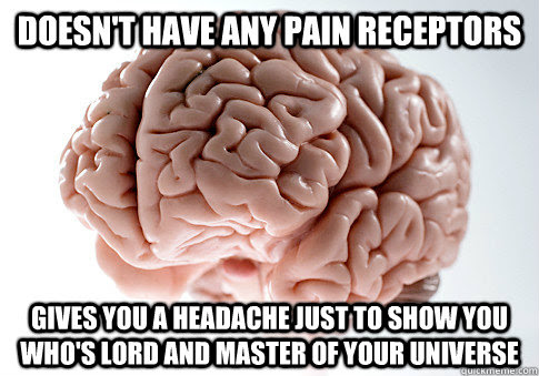 http://i.qkme.me/3qqxxm.jpg