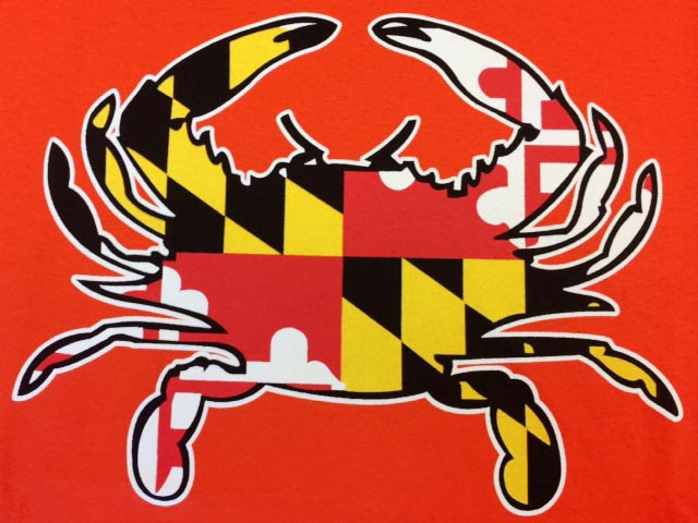 Maryland Flag Crab 640 x 480 · 94 kB · jpeg