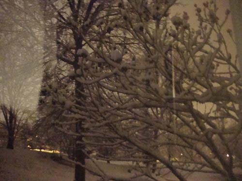 snow on 12/5/09