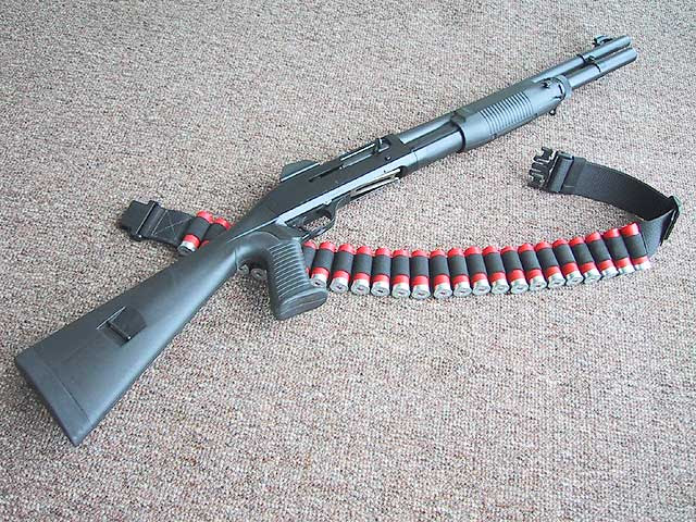 benelli 12