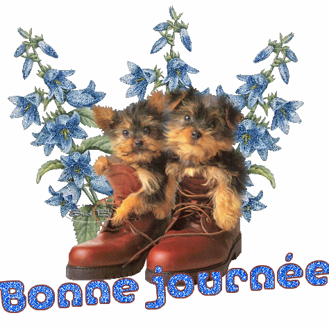 Chiens Gifs Animes Page 8