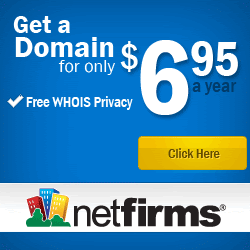 $6.95 Domain Offer .com .net .org
