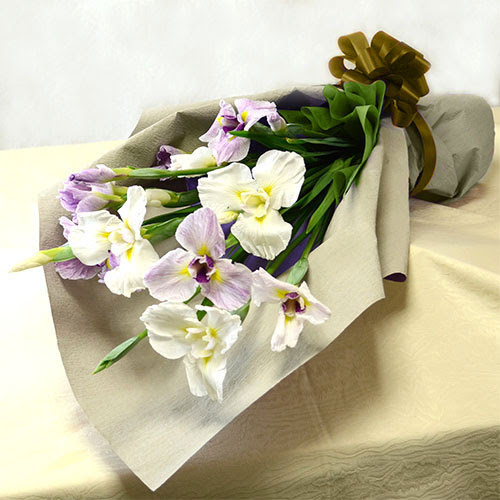 こどもの日 端午の節句 には 花菖蒲を 青山花茂blog