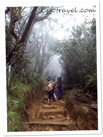 Mt Kinabalu