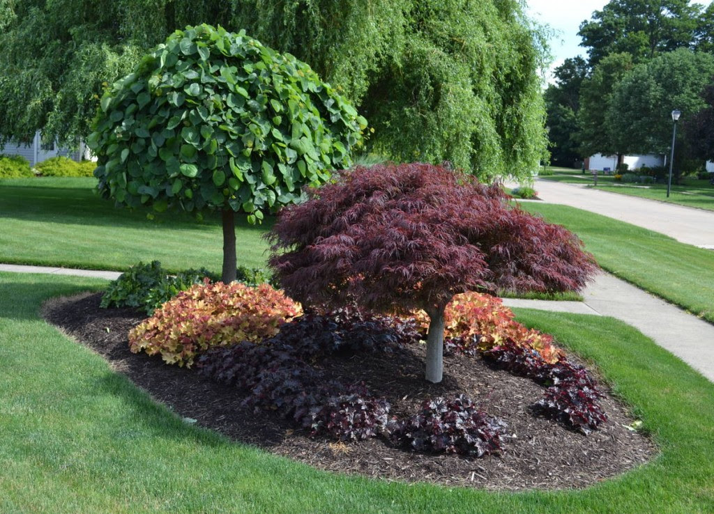 10 Cheap Landscaping Ideas  BudgetFriendly Landscape Tips