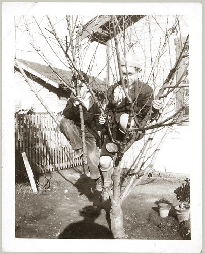 In a tree