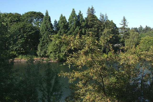 Willamette River near Washington-Jefferson St. Bridge
