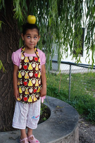 apple and pears apron