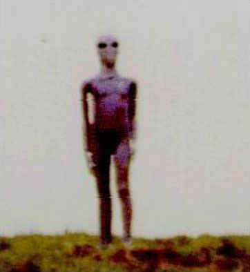 Alien Standing on a