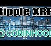 What's The Future Of Xrp Ripple - What is holding Ripple & XRP Back? - YouTube / With central bankers slowly accepting the idea of digital.