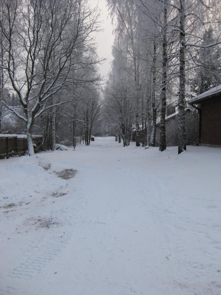 talvi