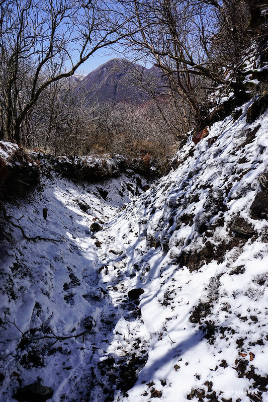 DSC01514