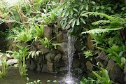 Best 11+ Balinese Garden Design, Newest!