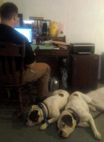 Fortunate K9 Dog Training Derry NH - Why Train With Us ...