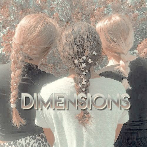 Amino Dimensions Wiki Templates And Stuff Amino