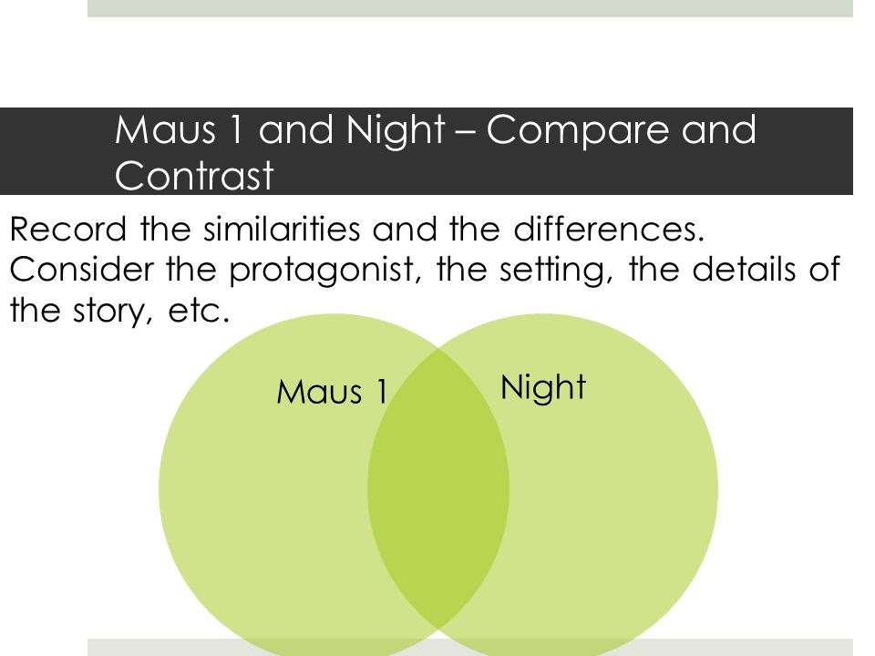 Image result for night and maus