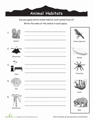 Habitats animal kindergarten  Kids Animal  homes for  worksheets Worksheet  Education.com for